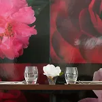 La Casa De Camelias Hotel