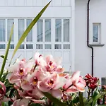 La Casa De Camelias Busto