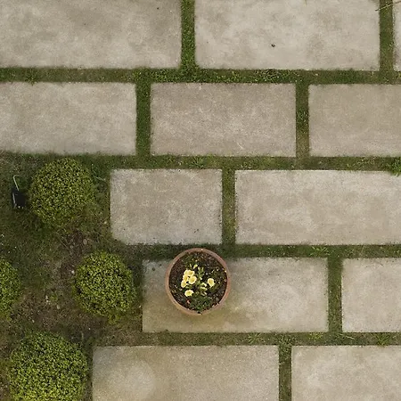 La Casa De Camelias Hotel Busto