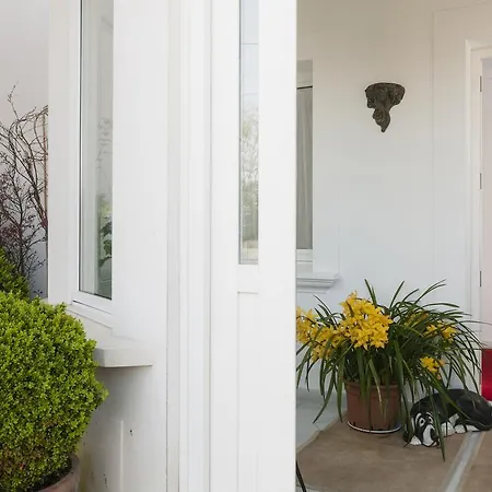 Hotel La Casa De Camelias