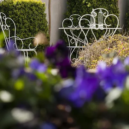 La Casa De Camelias Hotel Busto