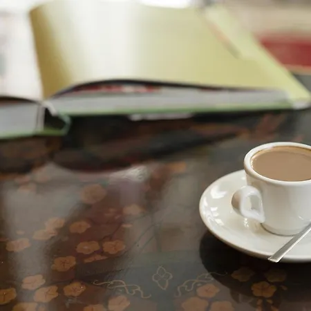 La Casa De Camelias Hotel Busto