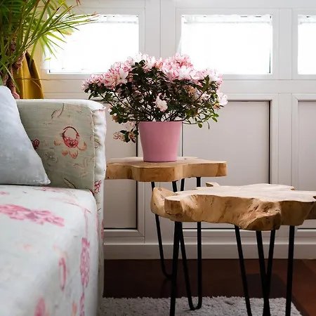 La Casa De Camelias Busto