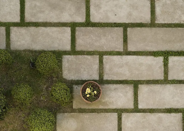 La Casa De Camelias Hotel Busto