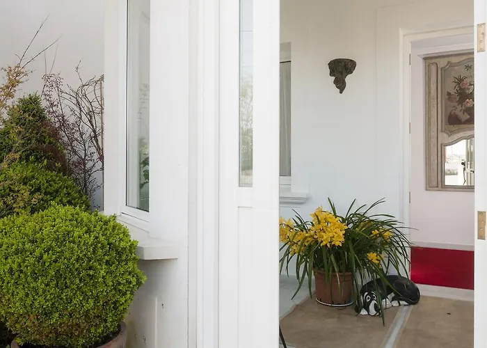 Hotel La Casa De Camelias