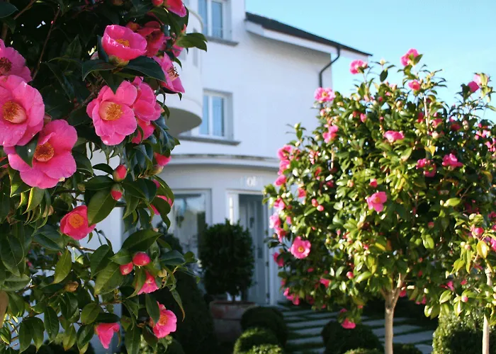 La Casa De Camelias Hotel