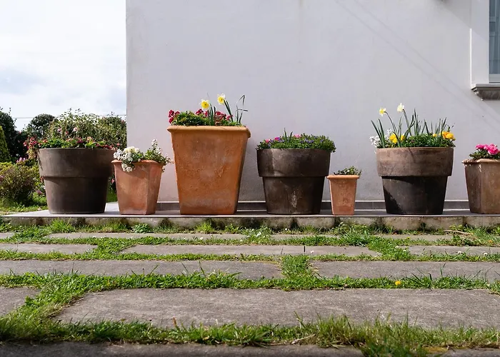 La Casa De Camelias Hotel Busto