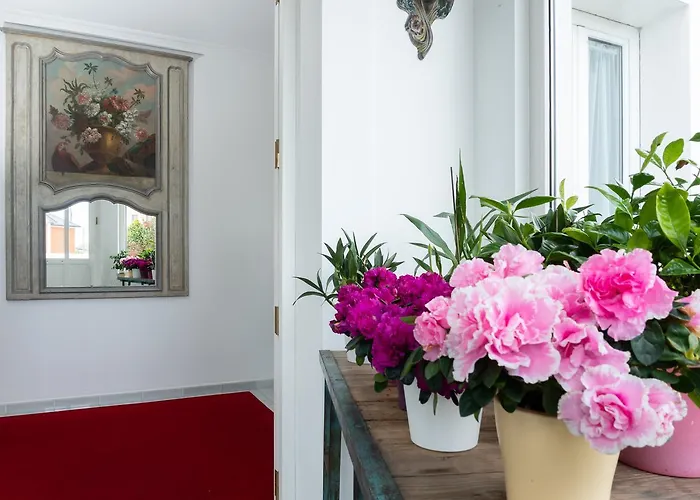 La Casa De Camelias Hotel