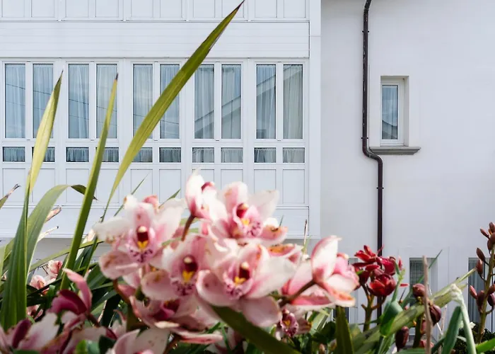 La Casa De Camelias Busto