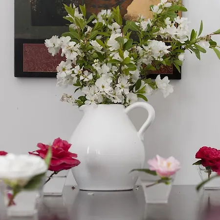 La Casa De Camelias Hotel