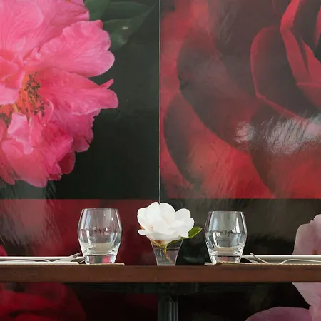 La Casa De Camelias Hotel