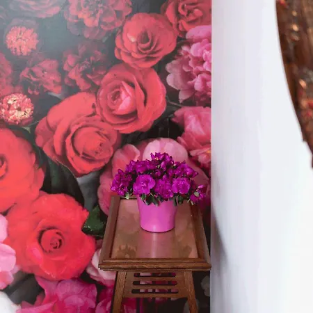 La Casa De Camelias Busto