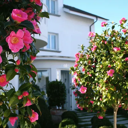La Casa De Camelias Hotel