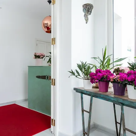 Hotel La Casa De Camelias