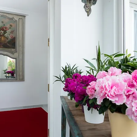 La Casa De Camelias Hotel