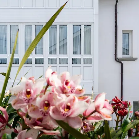 La Casa De Camelias Busto